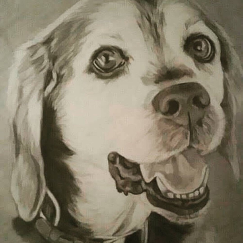 11x14 custom dog portraits